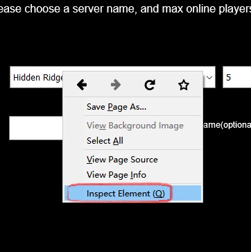 firefox1.jpg