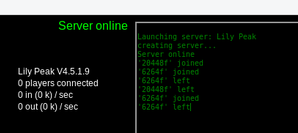 Server window showing IDs of those who come and go