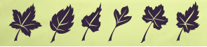 Featured badge.png