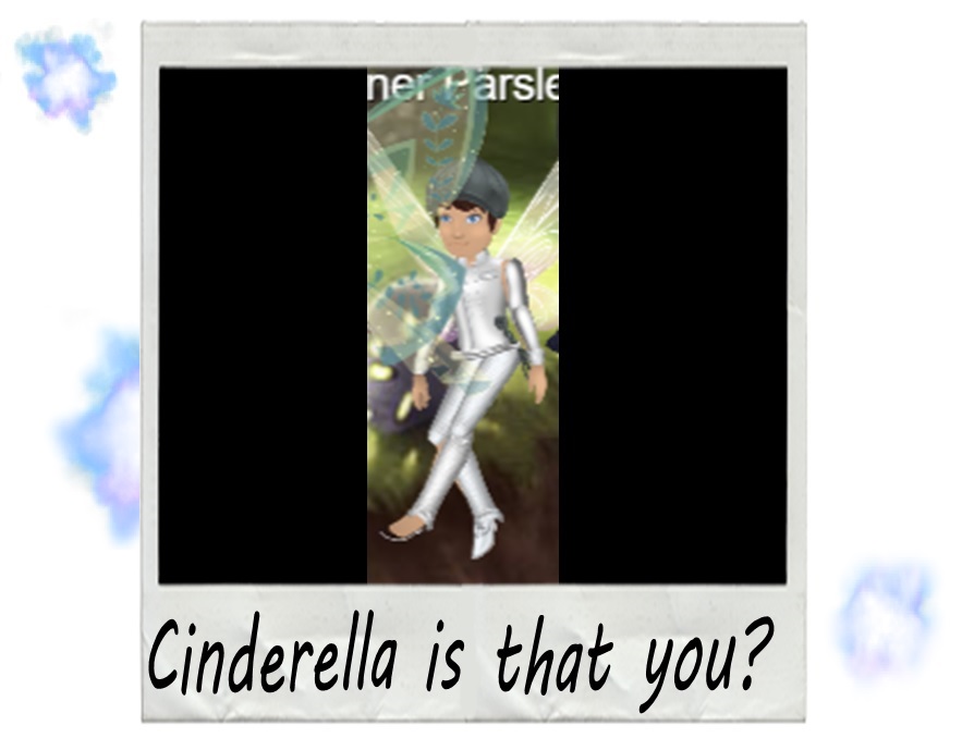 S5.jpg
