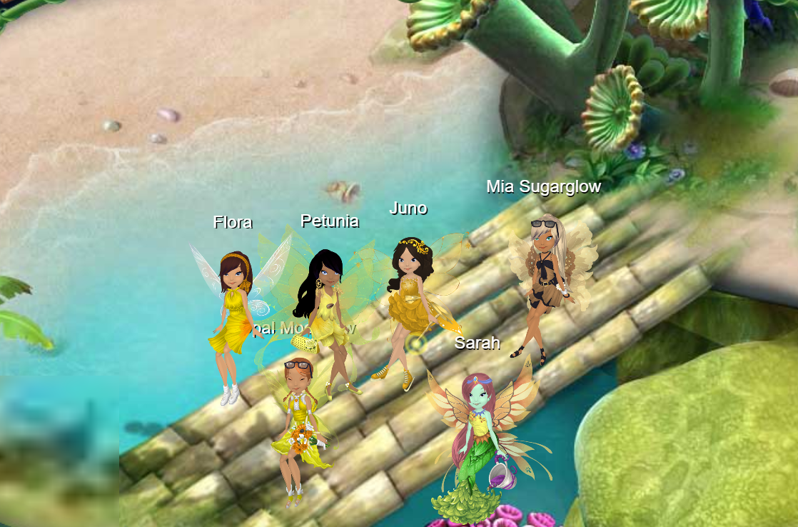 ss1.png