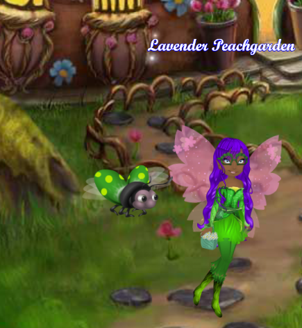 new ladybug.png