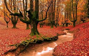 Autumn.jpg