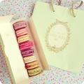 Pastel Macarons