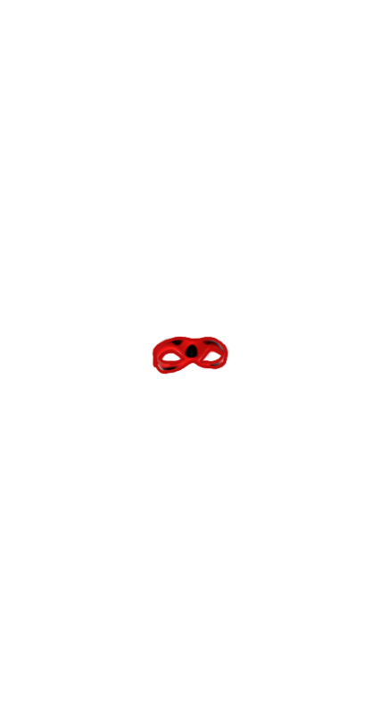 miraculous mask.png