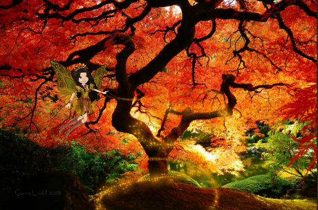 maple1.png