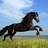 Equestrians